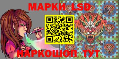стаф Абакан