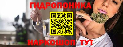 стаф Абакан