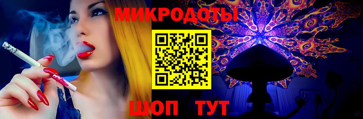 Галлюциногенные грибы Psilocybe Абакан