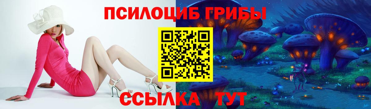 Галлюциногенные грибы GOLDEN TEACHER  Вход с VPN  где купить   Абакан 